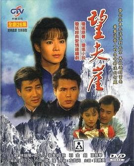 望夫崖 - 国产剧 (1991) 海报