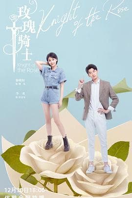 玫瑰骑士 - 国产剧 (2022) 海报