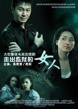 走出监狱的女人 - 国产剧 (2006) 海报