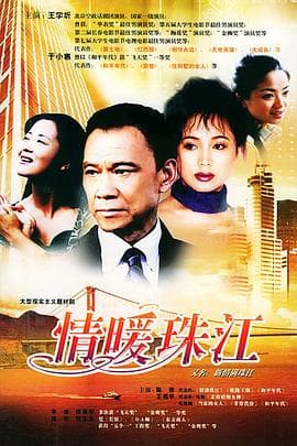 情暖珠江 - 国产剧 (2004) 海报