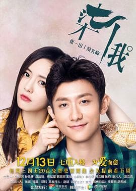 柒个我 - 国产剧 (2017) 海报