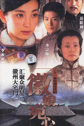 徽娘宛心 - 国产剧 (2006) 海报