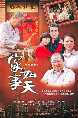 家事如天 - 国产剧 (2007) 海报