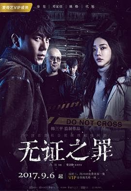 无证之罪 - 国产剧 (2017) 海报