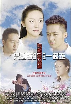 只想今生一起走 - 国产剧 (2013) 海报