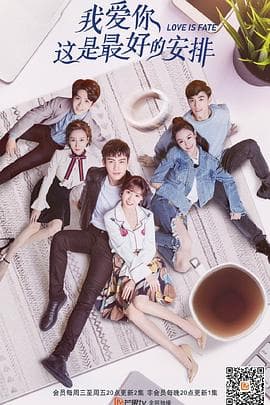 我爱你，这是最好的安排 - 国产剧 (2019) 海报