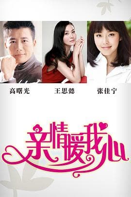 亲情暖我心 - 国产剧 (2013) 海报