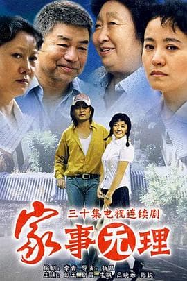 家事无理 - 国产剧 (2007) 海报