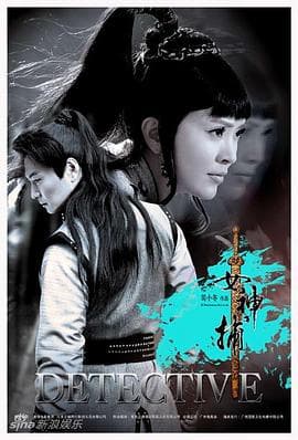 女神捕 - 国产剧 (2010) 海报