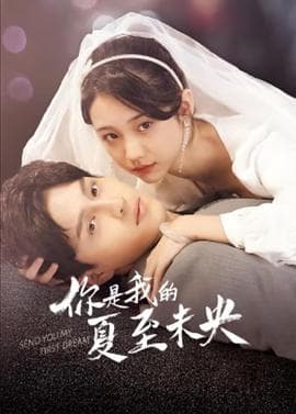 你是我的夏至未央 - 国产剧 (2023) 海报