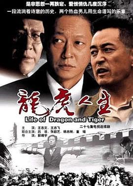 龙虎人生 - 国产剧 (2006) 海报