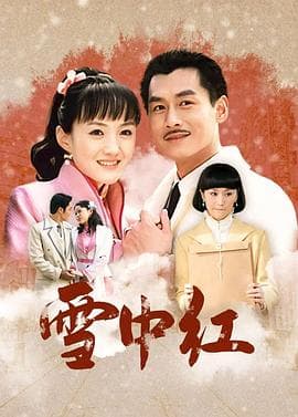雪中红 - 国产剧 (2009) 海报