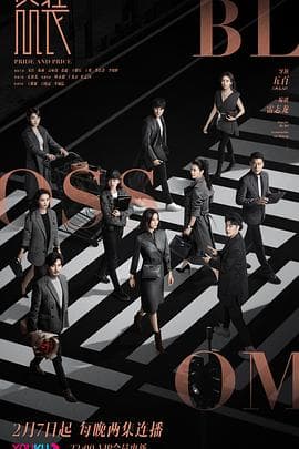 盛装 - 国产剧 (2022) 海报