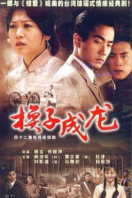 换子成龙 - 国产剧 (2006) 海报