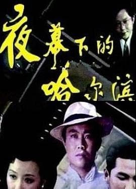夜幕下的哈尔滨 - 国产剧 (1984) 海报