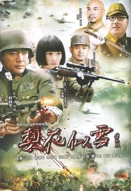 梨花似雪 - 国产剧 (2010) 海报