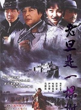 老旦是一棵树 - 国产剧 (1998) 海报