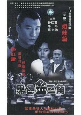 为了这一片净土 - 国产剧 (1999) 海报