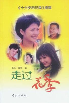 走过花季 - 国产剧 (2003) 海报