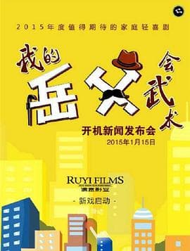我的岳父会武术 - 国产剧 (2016) 海报