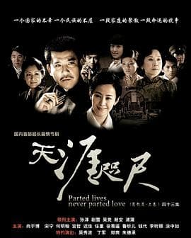 天涯咫尺2008 - 国产剧 (2008) 海报