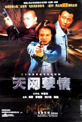 天网孽情 - 国产剧 (0) 海报