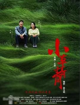 小草青青 - 国产剧 (2016) 海报