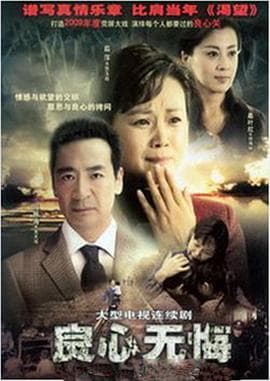 良心无悔 - 国产剧 (2009) 海报