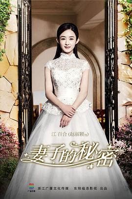 妻子的秘密 - 国产剧 (2014) 海报