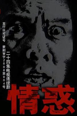 情惑2009 - 国产剧 (2009) 海报