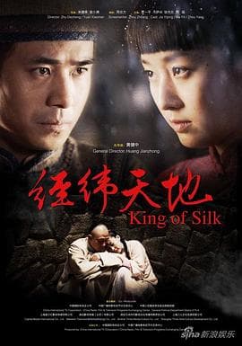 经纬天地 - 国产剧 (2010) 海报