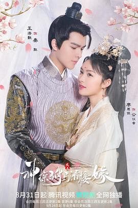 神探驸马请接嫁 - 国产剧 (2022) 海报