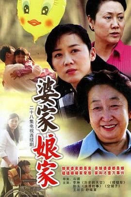 婆家娘家 - 国产剧 (2005) 海报