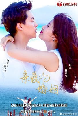 亲爱的婚姻 - 国产剧 (2019) 海报