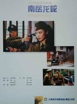 南岳龙蛇 - 国产剧 (1990) 海报