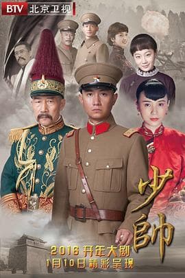 少帅 - 国产剧 (2015) 海报