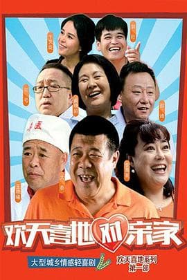 欢天喜地对亲家 - 国产剧 (2015) 海报