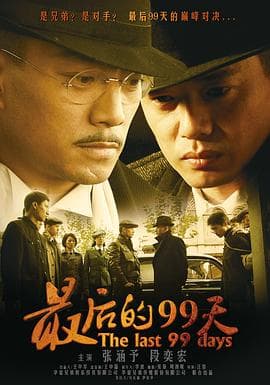 最后的99天 - 国产剧 (2009) 海报