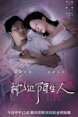 枕边陌生人 - 国产剧 (2023) 海报