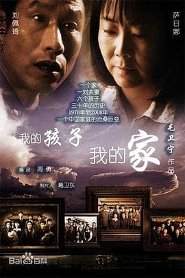 我的孩子我的家 - 国产剧 (2010) 海报