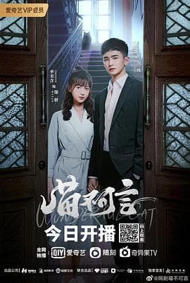 喵不可言 - 国产剧 (2022) 海报