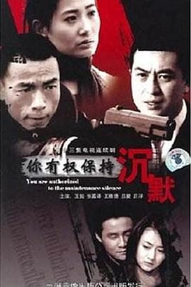 你有权保持沉默 - 国产剧 (2007) 海报