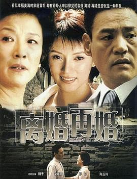 离婚再婚 - 国产剧 (2004) 海报