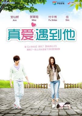 真爱遇到他 - 国产剧 (2014) 海报