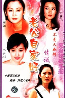 完全婚姻手册 - 国产剧 (2000) 海报