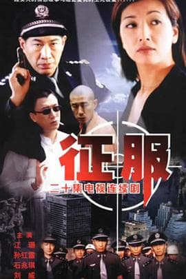 征服2003 - 国产剧 (2003) 海报