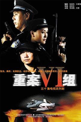 重案六组 - 国产剧 (2001) 海报