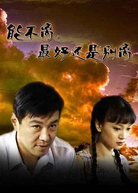能不离最好还是别离 - 国产剧 (2007) 海报