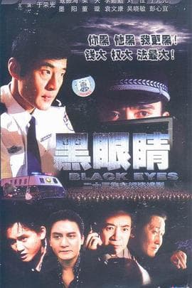 黑眼睛2003 - 国产剧 (2003) 海报