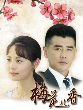 梅花儿香 - 国产剧 (2017) 海报